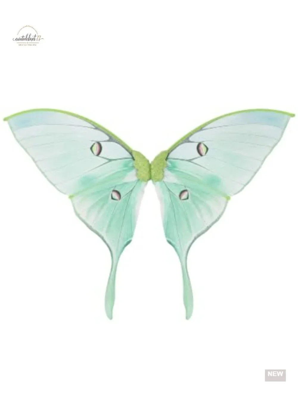 Fairy Wings Costume for Women - Transparent Organza Halloween Cosplay Props